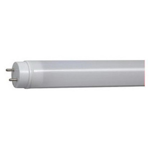 Perfecttwinkle 4 ft. & 12 W T8 LED Light Bulb - Warm White PE2036847